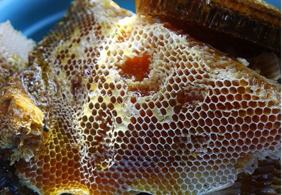 mat ong rung 1 - Những công dụng của mật ong rừng nguyên chất