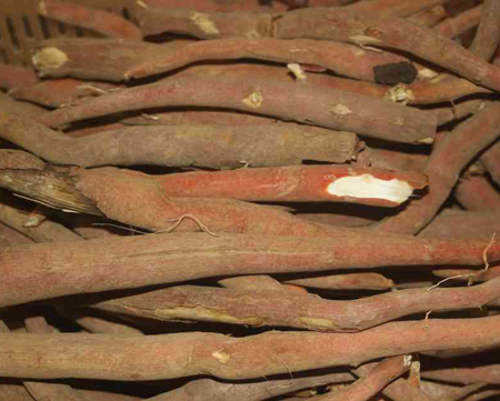 sam cau - Món chẳm chéo khô cơ bản của người Thái Tây Bắc