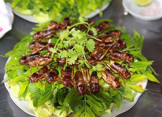 dan san kon tum 5 - Top 10 món ăn nổi tiếng không nên bỏ qua khi du lịch Kon Tum