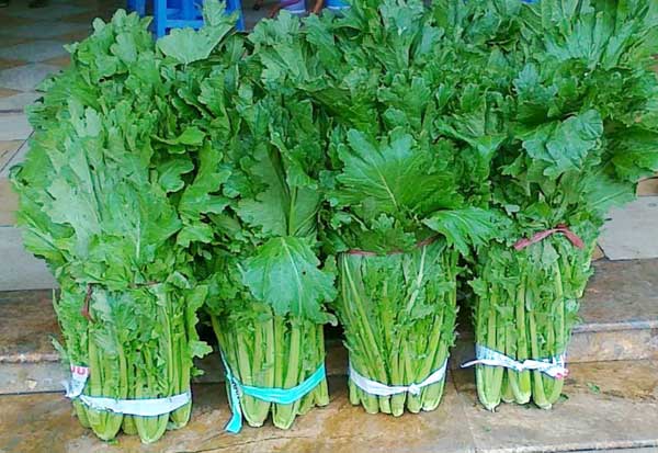 7 loai rau dac san noi tieng o sapa 2 - 7 loại rau đặc sản nổi tiếng ở Sapa