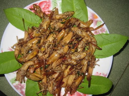 7 mon an ngon dac san yen bai nhat dinh phai thuong thuc 4 - 7 món ăn ngon, đặc sản Yên Bái nhất định phải thưởng thức