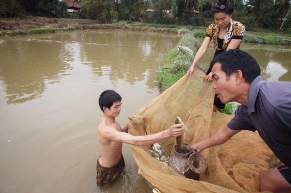 goi ca dai khach quy cua nguoi thai o dien bien 1 - Gỏi cá đãi khách quý của người Thái ở Điện Biên