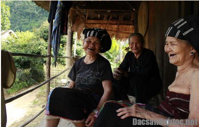 nhung nguoi det hoa ban lu - Khám phá đặc sản lá ngón xào tỏi đặc sản của người dân Lai Châu