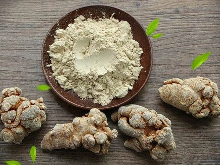 Công dụng cầm máu theo y học cổ truyền