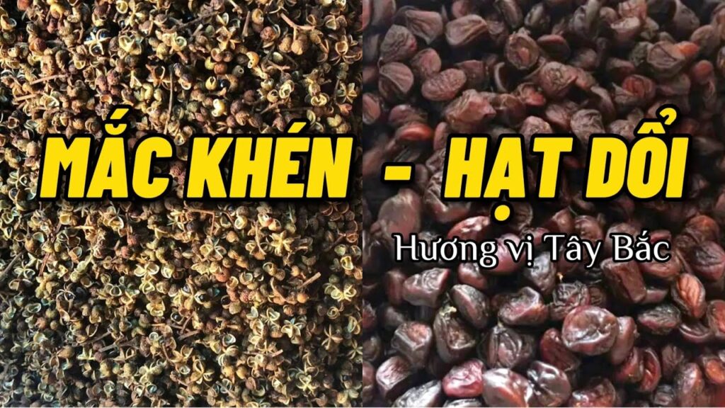 Phân biệt mắc khén và hạt dổi
