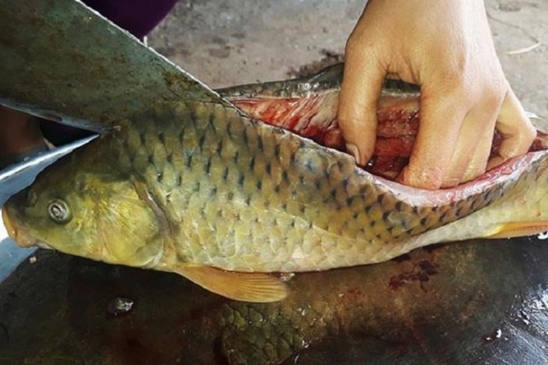 Sơ chế cá